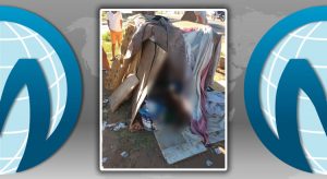 Morador de rua assassinado em Juazeiro dentro de sua cabana perto da via férrea