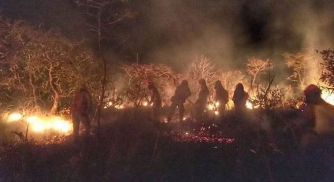 Ceará vai contratar 60 brigadistas temporários para combater incêndios florestais