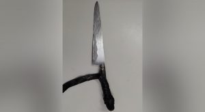 Dois gatos são decapitados e outro esfaqueado por menor de 17 anos no Iguatu