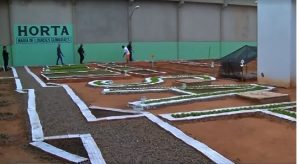 Acusado de matar mulher em Milagres ao vê-la na cama com outro é preso 16 anos depois