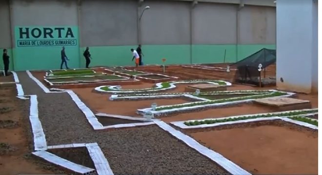 Acusado de matar mulher em Milagres ao vê-la na cama com outro é preso 16 anos depois