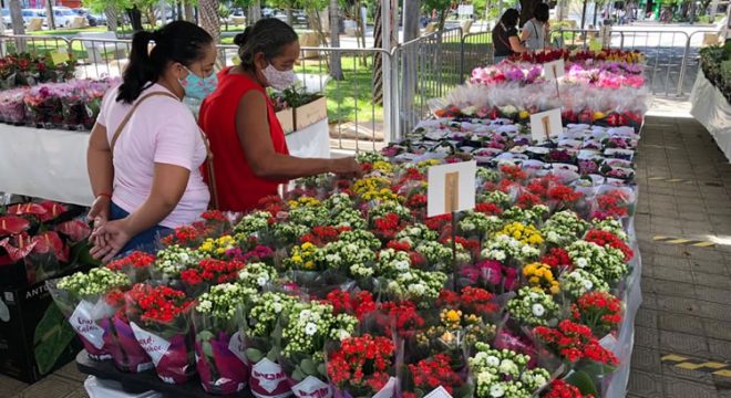 Juazeiro do Norte recebe mais um Festival das Flores de Holambra na Praça Padre Cícero