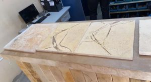 PF entrega a museu 237 fósseis contrabandeados da Chapada do Araripe