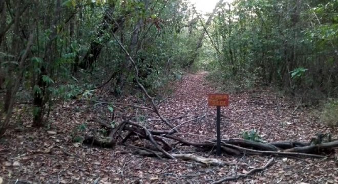 Ossada humana é encontrada numa cova rasa em Crato