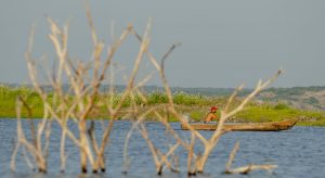 Maioria dos reservatórios do Ceará está com níveis de armazenamento abaixo de 30%
