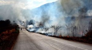 Incêndios em vegetação no Ceará crescem 140% entre janeiro e julho de 2021