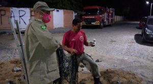 Mais de quatro mil animais foram resgatados em 2021 pelo Corpo de Bombeiros