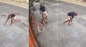 Criminoso desiste de assalto após tropeçar, perder chinelo, e ser mordido por cachorro