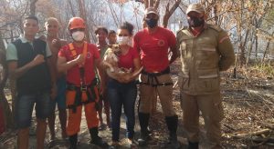 Corpo de Bombeiros do Crato resgata cadela que caiu no poço