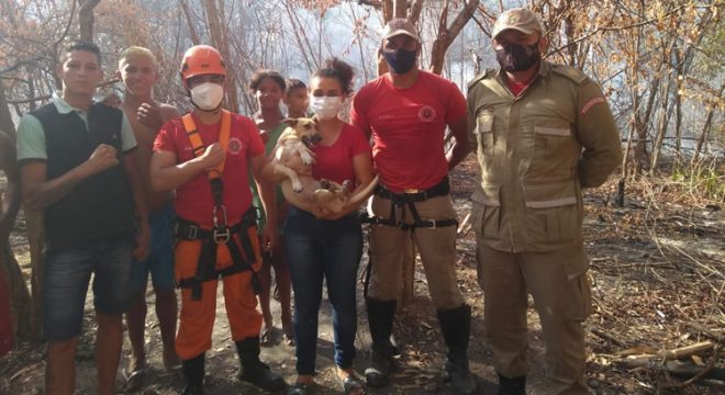 Corpo de Bombeiros do Crato resgata cadela que caiu no poço