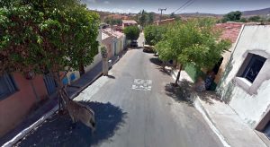 Mãe embriagada no Cariri se recusa a entregar recém-nascido e xinga PMs de Porteiras