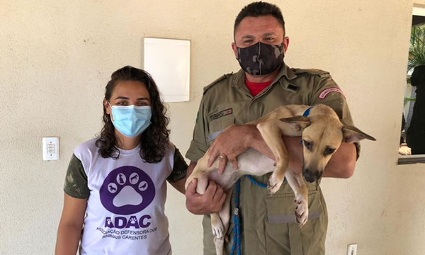 Tutora de cadelinha resgatada de poço vai ao batalhão dos bombeiros para agradecer