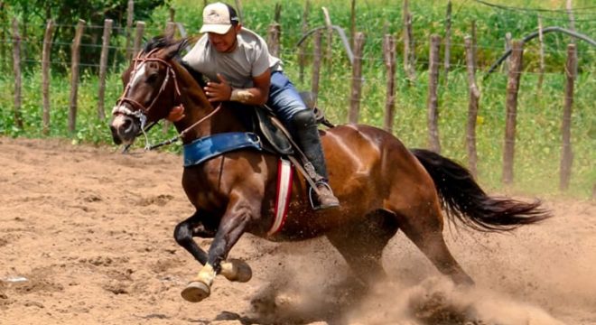 Jovem morto a tiros esta madrugada em Crato não tinha passagens pela polícia