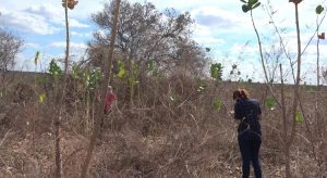 Funceme inicia trabalhos para criação de museu de solos no Ceará