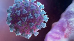 foto: Reprodução/Agência Brasil