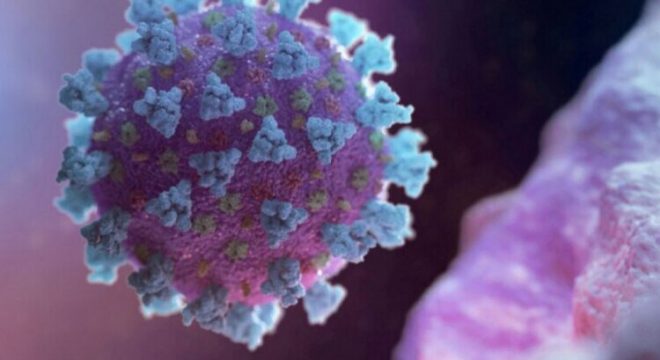 foto: Reprodução/Agência Brasil