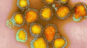 Ceará confirma 18 casos de gripe H3N2 só em dezembro