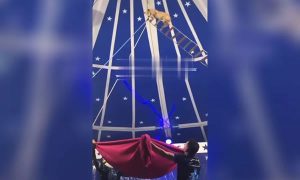 Cachorro sobe em escada de corda e pula do alto em apresentação de circo no Ceará