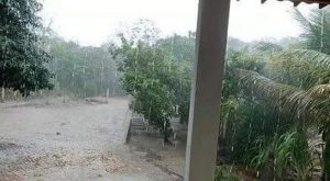 Ceará registra chuva em 155 municípios; Cedro teve maior volume, com 120 mm