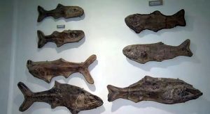 Polícia Federal conclui inquérito com 11 investigados por tráfico de fósseis