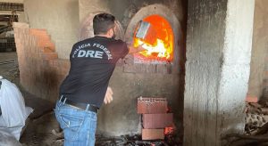 PF incinera 1,3 tonelada de drogas; maior parte é cocaína apreendida em jato executivo