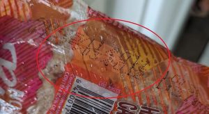 Mulher nota gosto ruim em hambúrguer e percebe validade expirada há 10 anos