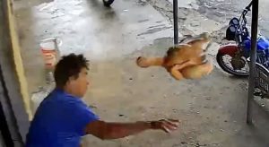 Homem tenta atingir assaltante com frango abatido durante roubo no Ceará