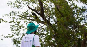 Programa Agente Jovem Ambiental