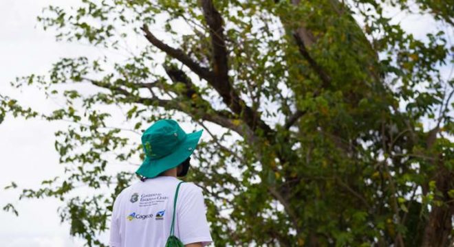 Programa Agente Jovem Ambiental