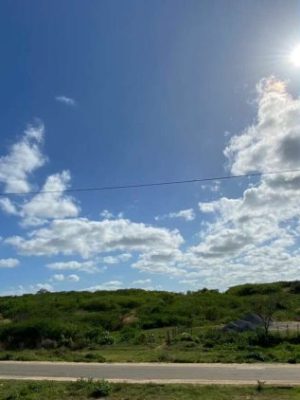 A paisagem no Cariri mostra o céu aberto, com poucas nuvens, abaixo está a vegetação.