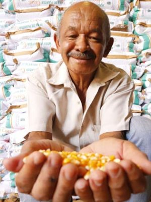 hora de plantar ceara