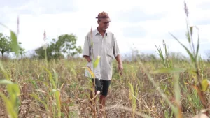 agricultor agricultura seca