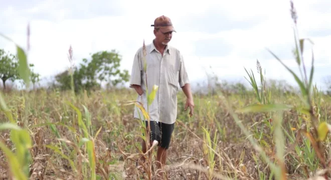 agricultor agricultura seca