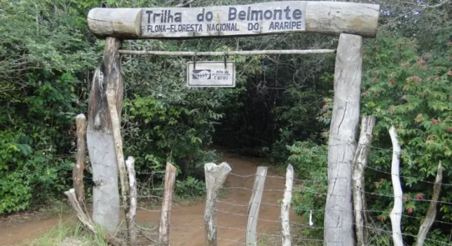 belmonte
