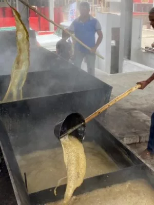 engenho expocrato