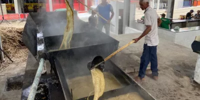 engenho expocrato