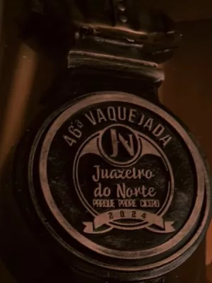 saga do vaqueiro