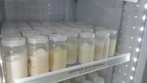 banco de leite do hospital de maternidade são lucas, em juazeiro do norte.
