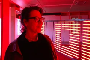 Carmela Gross, uma das artistas que assinam a exposição