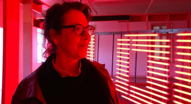 Carmela Gross, uma das artistas que assinam a exposição