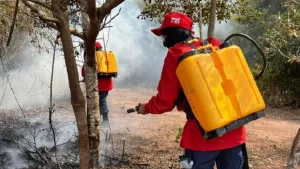 Brigadistas controlando incêndio no Crato.