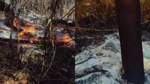 Incêndio no Sítio Nicácio, em Santana do Cariri. As duas imagens mostram o chão em chamas.