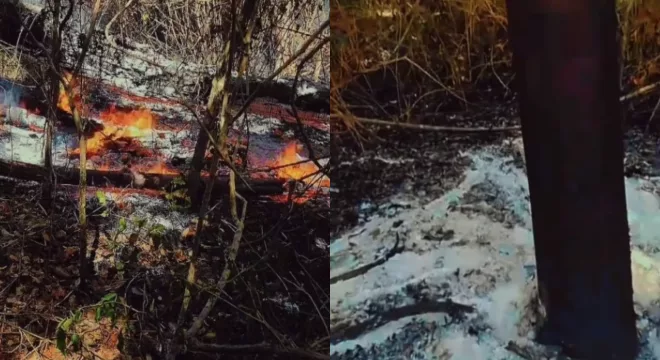 Incêndio no Sítio Nicácio, em Santana do Cariri. As duas imagens mostram o chão em chamas.