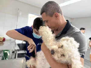 cachorro sendo atendido na upaa lessa, em crato