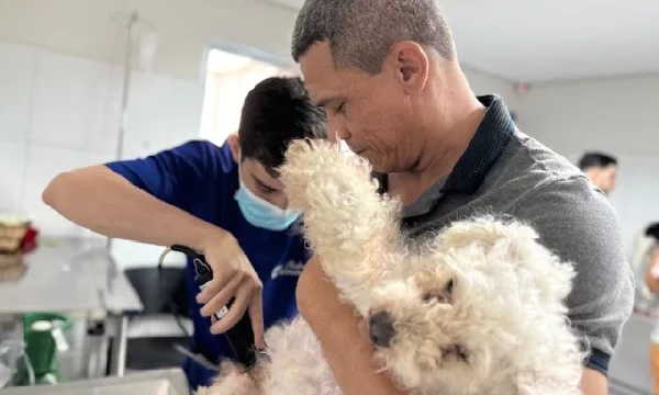 cachorro sendo atendido na upaa lessa, em crato