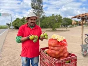 Vaninho Galvão, vendedor de pequi