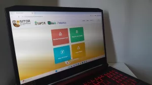 monitor de queimadas ufca