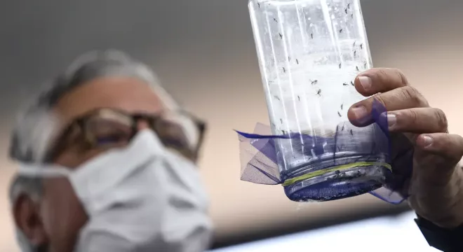 Vacina contra dengue