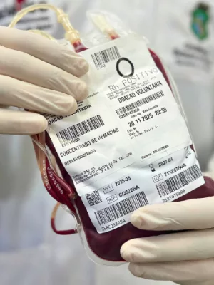 bolsa de doação de sangue