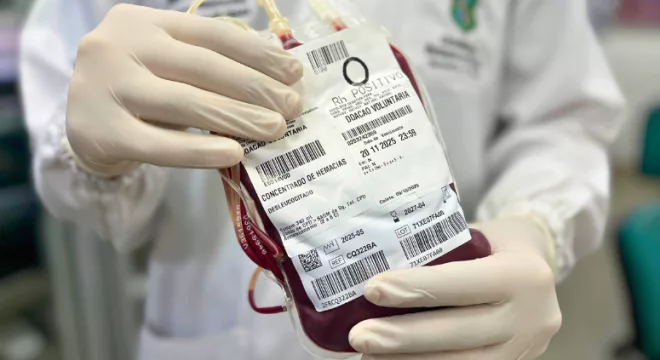 bolsa de doação de sangue